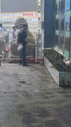 中学保安将校门口外卖扔进花坛；学校回应：正